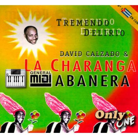 Lo Siento Por Ti - Charanga Habanera - Midi File (OnlyOne)