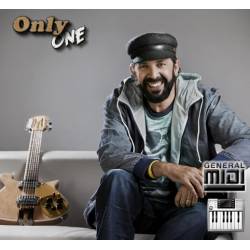 Las Avispas - Juan Luis Guerra - Midi File (OnlyOne)