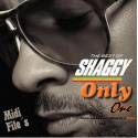 Chica Bonita - Shaggy Midi File (OnlyOne)