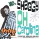 Oh Carolina - Shaggy - Midi File (OnlyOne)