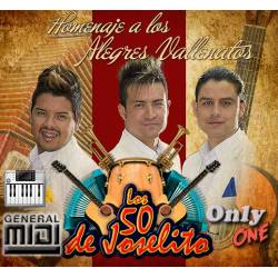 La Muy Indigna - Los 50 De Joselito - Midi File (OnlyOne) 