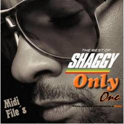 Hey Sexy Lady - Shaggy - Midi File (OnlyOne) 