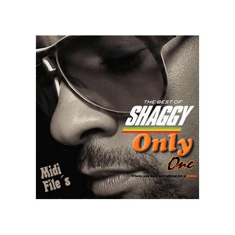 Hey Sexy Lady - Shaggy - Midi File (OnlyOne) 