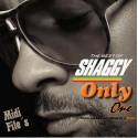 Strenght Of A Woman - Shaggy - Midi File (OnlyOne) 