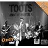 Beautiful Woman - Toots And The Maytals - Midi File (OnlyOne) 