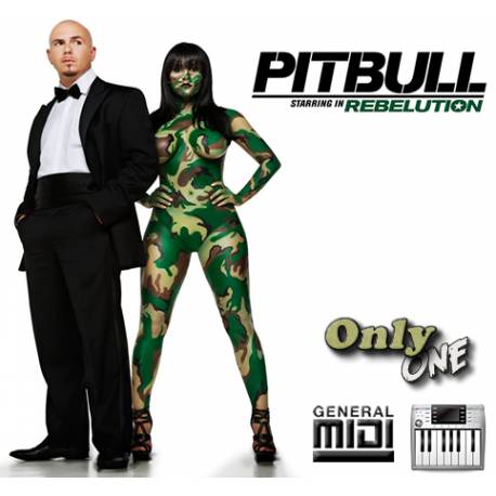 Ella Quiere Su Rumba - Pit bull Ft Calle 8 - Midi File (OnlyOne) 