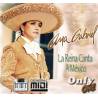 Un Viejo Amor - Ana Gabriel - Midi File (OnlyOne) 