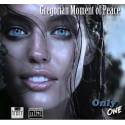 Gregorian Moment of Peace vs Antarktika - Soundtrack (OnlyOne)