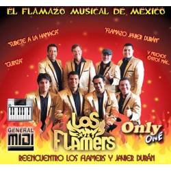 A Tabasco - Los Flamers - Midi File (OnlyOne)