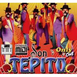 La Cholita - Grupo Son Tepito - Midi File (OnlyOne)