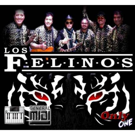 Morena - Los Felinos - Midi File (OnlyOne)
