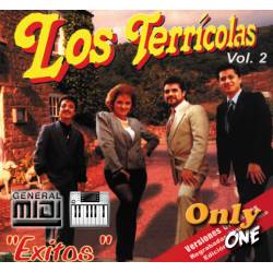 LLoraras - Los Terricolas - Midi File (OnlyOne)