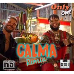 Calma - Pedro Capó Ft Farruko - Midi File (OnlyOne)