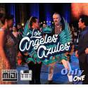 Morir de Amor - Los Angeles Azules Ft. Miguel Bosé (Live) - Midi File (OnlyOne)