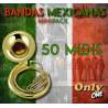 Mini Pack 50 Midis - Banda Mexicana No. 1 - Midi File (OnlyOne)