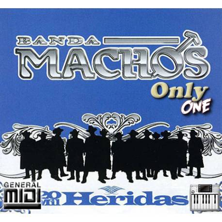 Un Indio Quiere Llorar - Banda Machos - Midi File (OnlyOne)