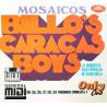 La Billos - Mosaico 55 - Midi File(OnlyOne) 
