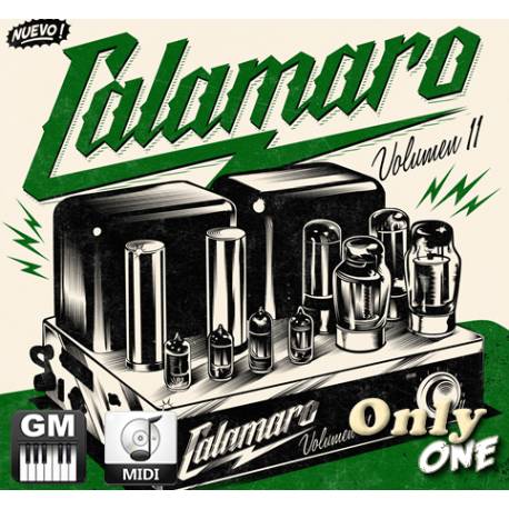 Flaca - Andres Calamaro - Midi File (OnlyOne)