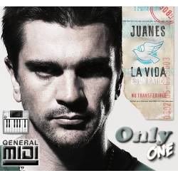 A Dios Le Pido - Juanes - Midi File (OnlyOne)