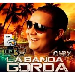 El Hombre Cariñoso - La Banda Gorda - Midi File (OnlyOne)