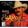 Le Hace Falta un Beso - El Chapo De Sinaloa - Midi File (OnlyOne)