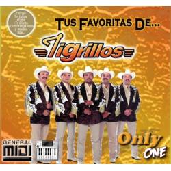 El Gallito Copeton - Tigrillos - Midi Files (OnlyOne)