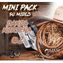 Mini Pack 50 Midis - Banda Norteña No. 2 - Midi File (OnlyOne)