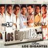 Yo Te Vi - Los Gigantes Del Vallenato - Midi File (OnlyOne)