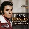 A Big Hunk of Love - Elvis Presley - Midi File (OnlyOne)