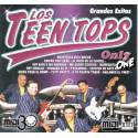 Oye Niña - Los Teen Tops - Enrique Guzmán - Midi File (OnlyOne)