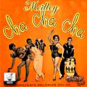 Medley 3 - Cha Cha Cha - Midi File (OnlyOne)