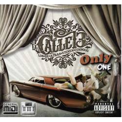 Atrevete Te Te - Calle 13 - Midi File (OnlyOne)