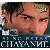 Y Tu Te Vas - Chayanne - Midi File (OnlyOne) 