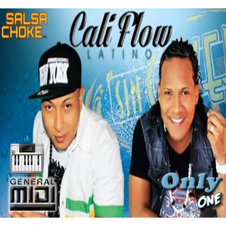 Ras Tas Tas - Cali Flow Latino - Midi File (OnlyOne)