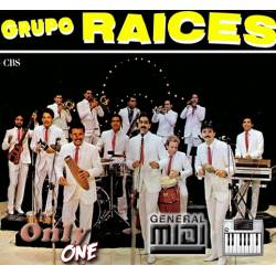 Fiesta - Grupo Raices - Midi File (OnlyOne) 