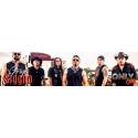 Grupo Siggno